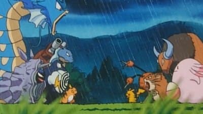 ¡Luces, Cámara, Acción!
