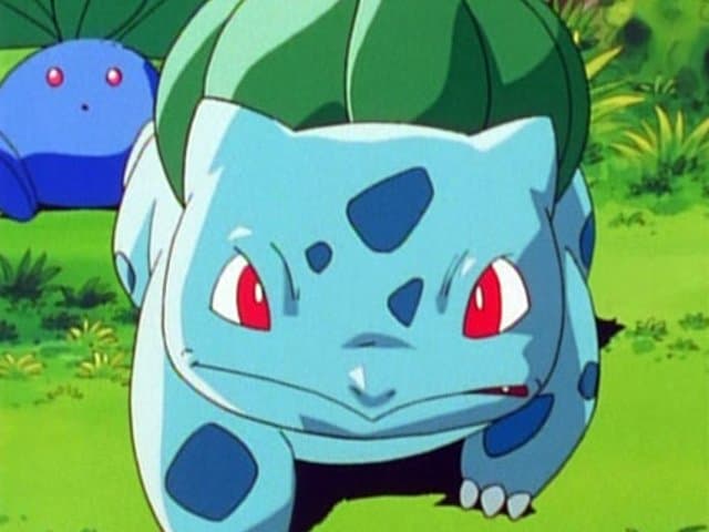 Bulbasaur Y La Aldea Secreta